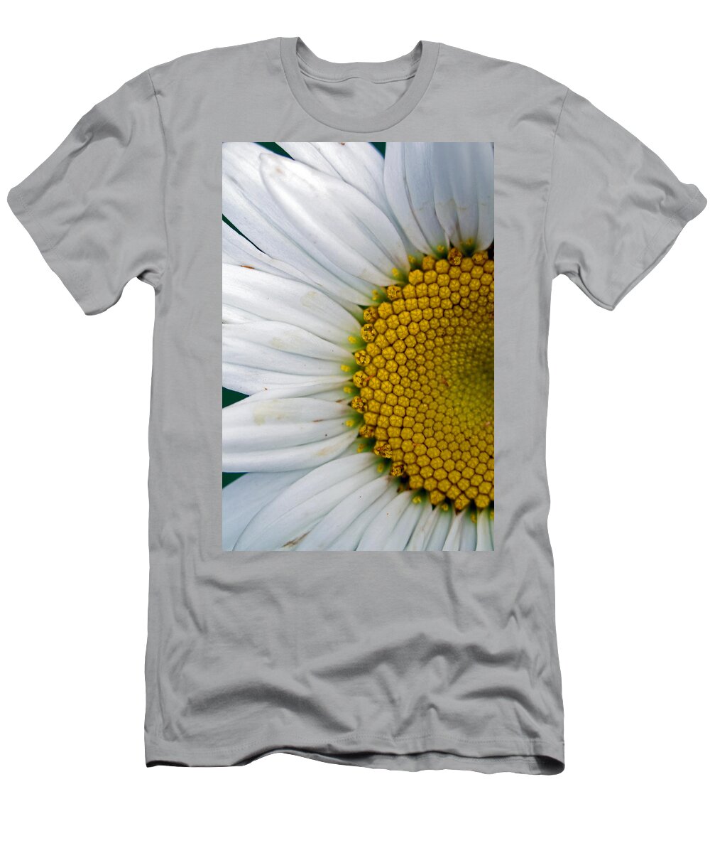 Flowers T-Shirt featuring the photograph Shasta by Jennifer Robin