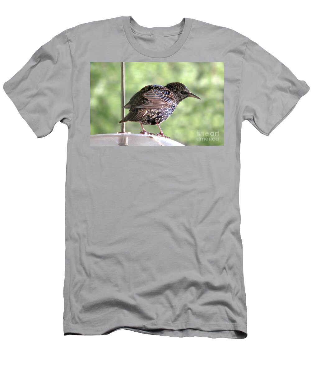 Bird T-Shirt featuring the photograph Sideways Glance by Rory Siegel