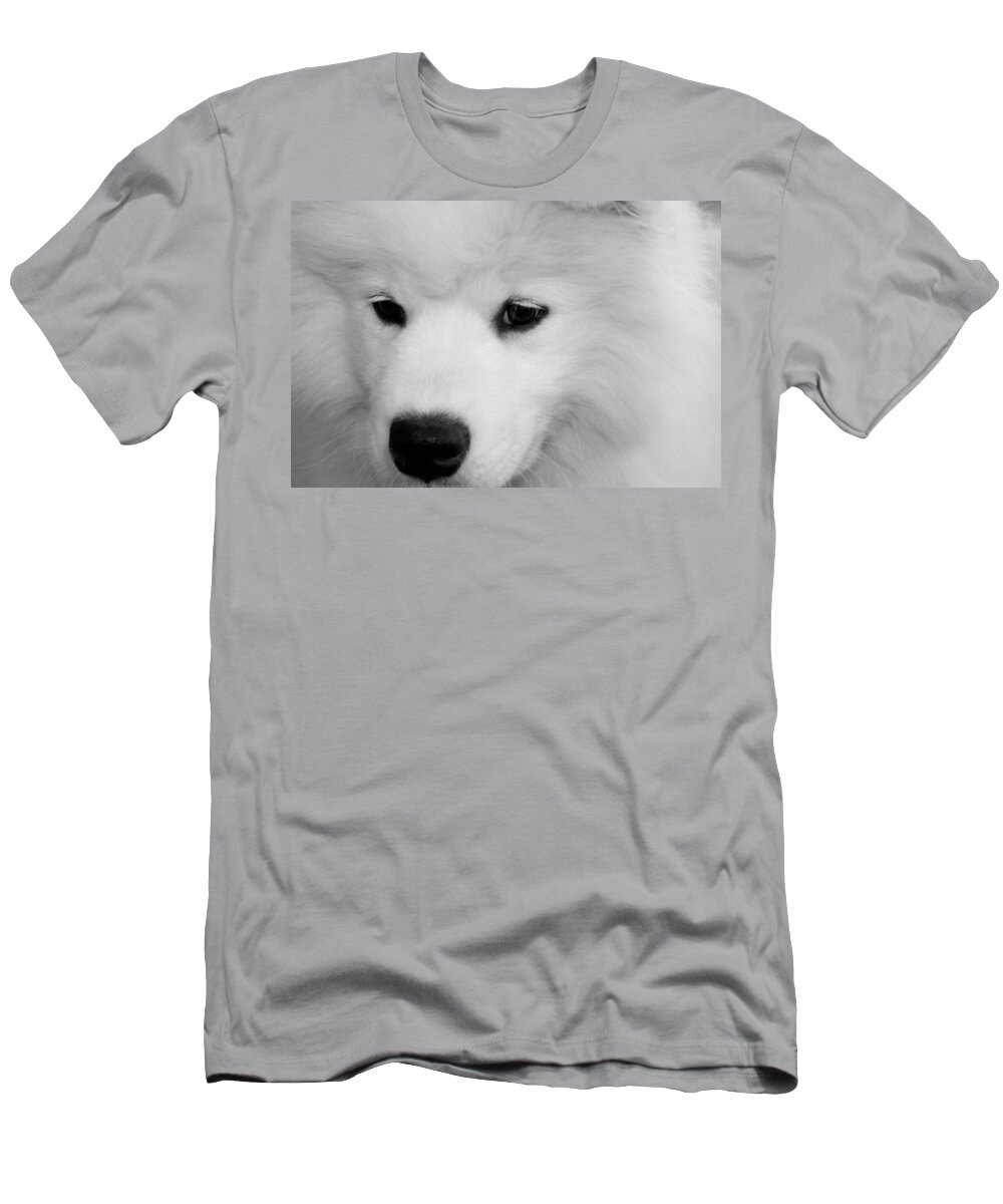 Samoyed T-Shirt featuring the photograph Soft And Overwhelming Beauty.... by Fiona Kennard