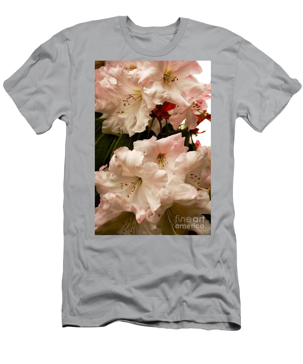 Flower T-Shirt featuring the photograph Soft Pink Rhododendrons by Carol Groenen