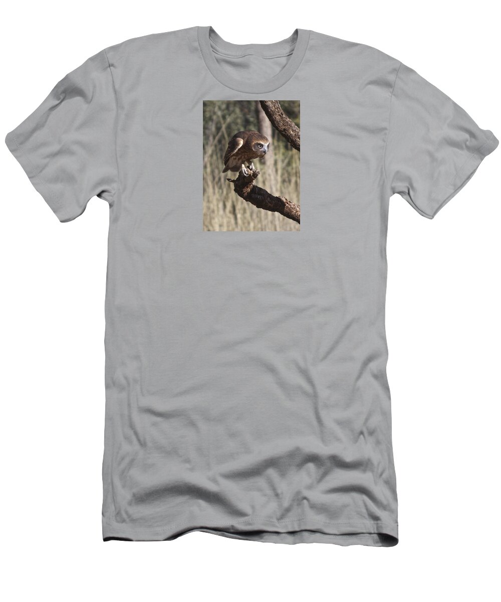Animal T-Shirt featuring the photograph Southern Boobok Owl by Venetia Featherstone-Witty
