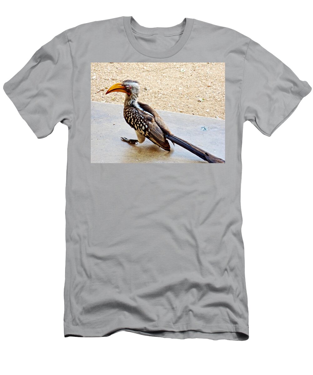Southern Yellow-billed Hornbill In Kruger National Park-south Africa- In Kruger National Park T-Shirt featuring the photograph Southern Yellow-billed Hornbill in Kruger National Park-South Africa by Ruth Hager