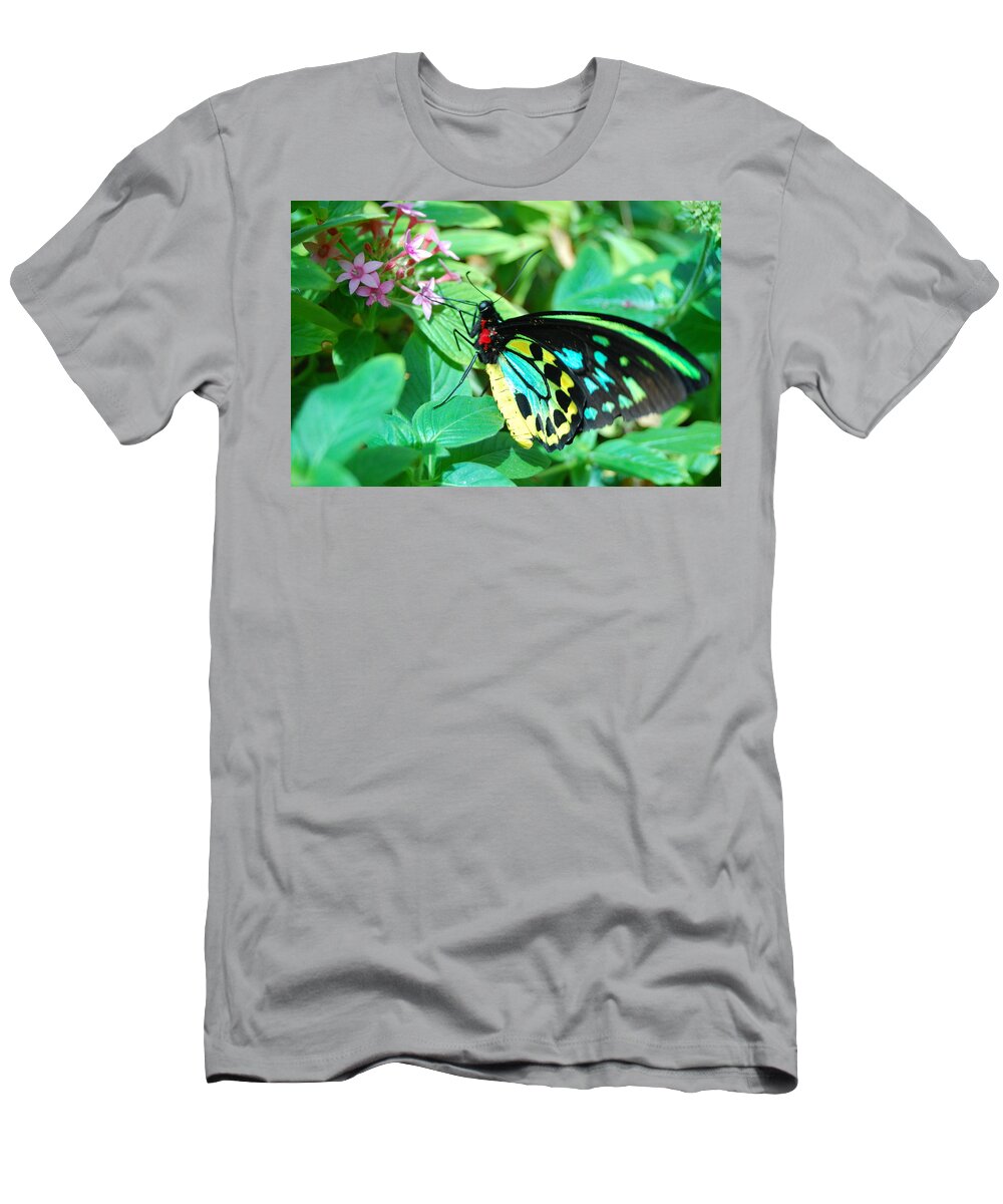 Flower T-Shirt featuring the photograph Spotted Butterfly 2 by Amy Fose