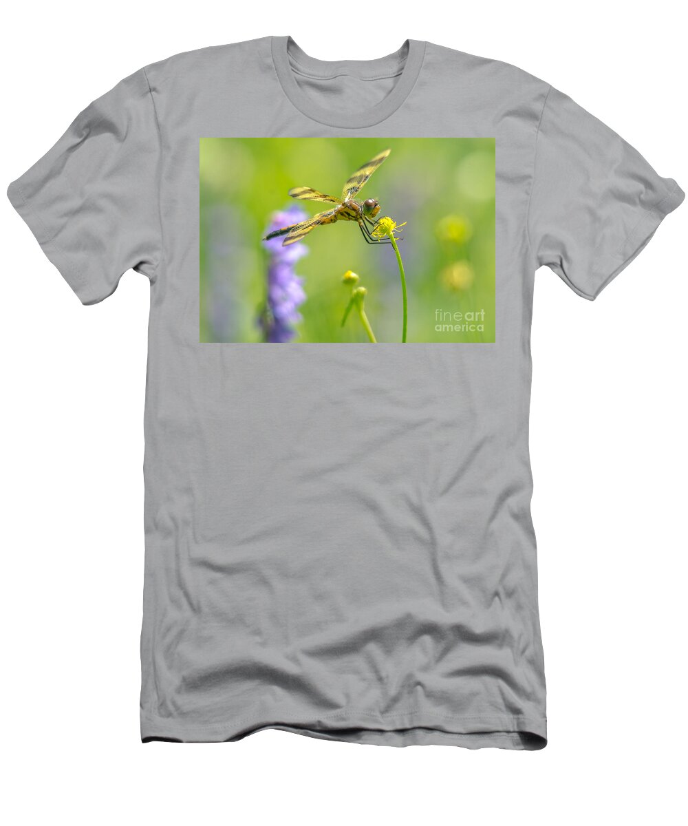 Halloween Pennant Dragonfly T-Shirt featuring the photograph Spring Halloween Pennant by Cheryl Baxter