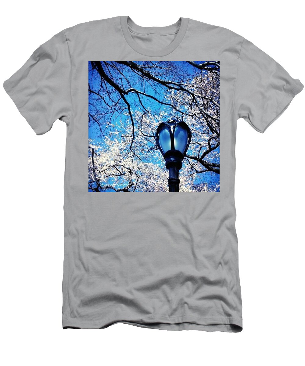 Spring T-Shirt featuring the photograph Spring In Central Park New York by Anna Porter