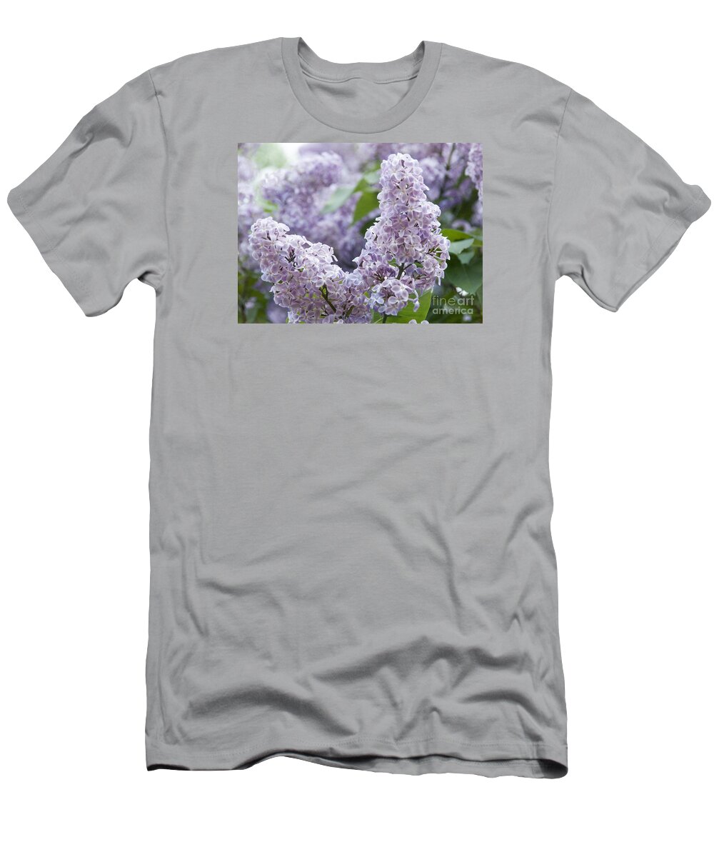 Blooming Common Lilac T-Shirt featuring the photograph Spring Lilacs in Bloom by Juli Scalzi