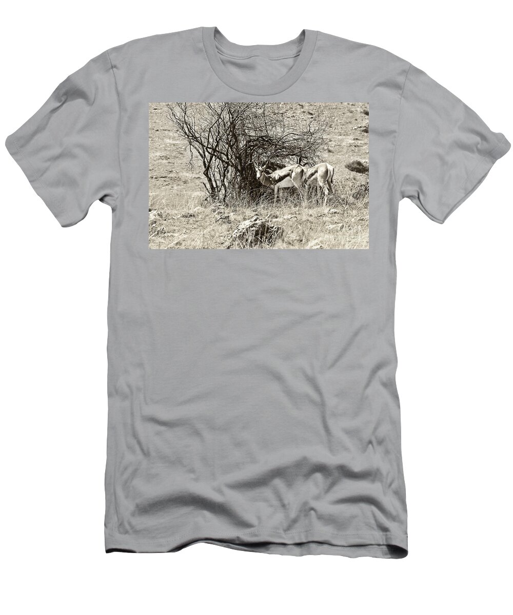 Springbok T-Shirt featuring the photograph Springbok V2 by Douglas Barnard