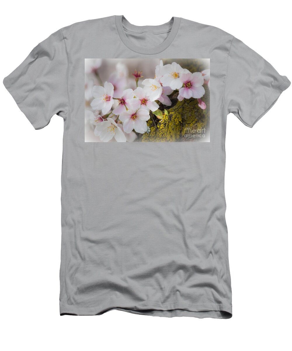Cherry T-Shirt featuring the photograph Spring's Herald by Patricia Babbitt