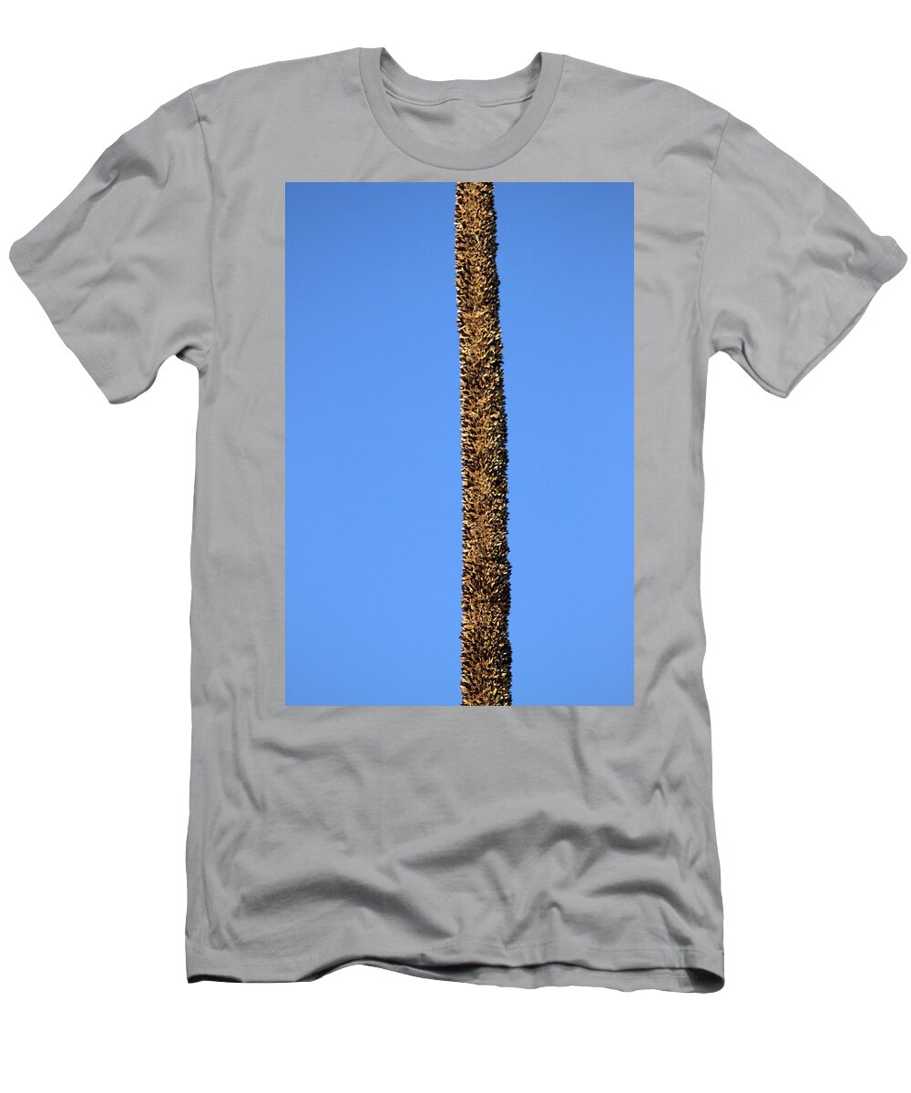 Grass Tree T-Shirt featuring the photograph Standing alone by Miroslava Jurcik
