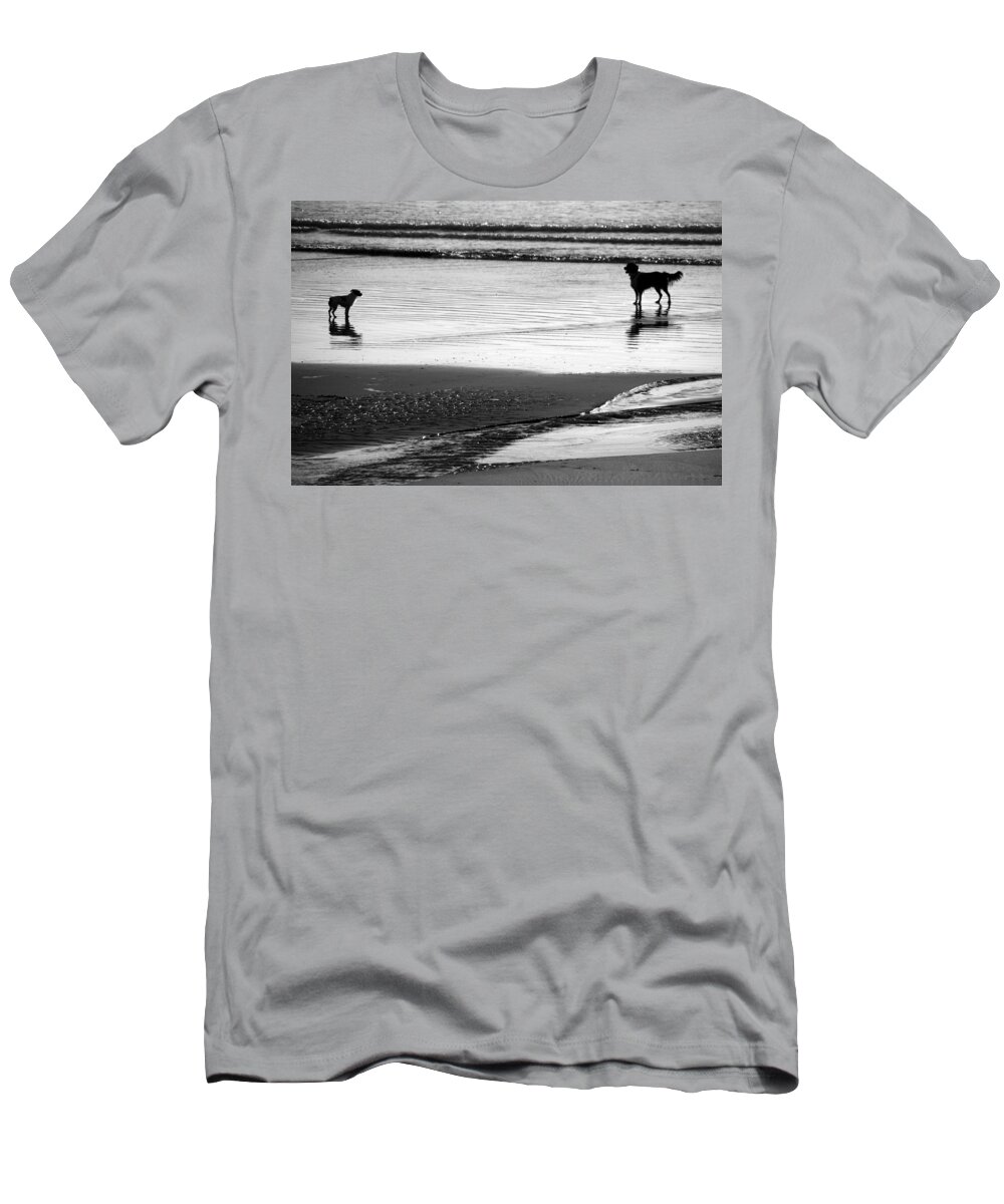 Dog T-Shirt featuring the photograph Standoff At The Beach by Aidan Moran