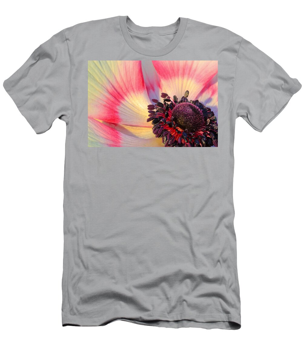 Abstract T-Shirt featuring the photograph Sunlight Just Right by Heidi Smith