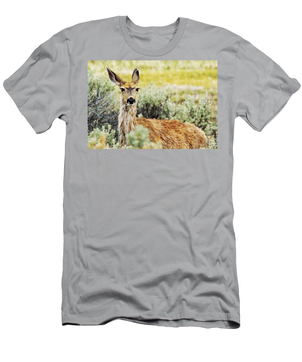 Mule Deer T-Shirt featuring the photograph Surround Sound by Belinda Greb