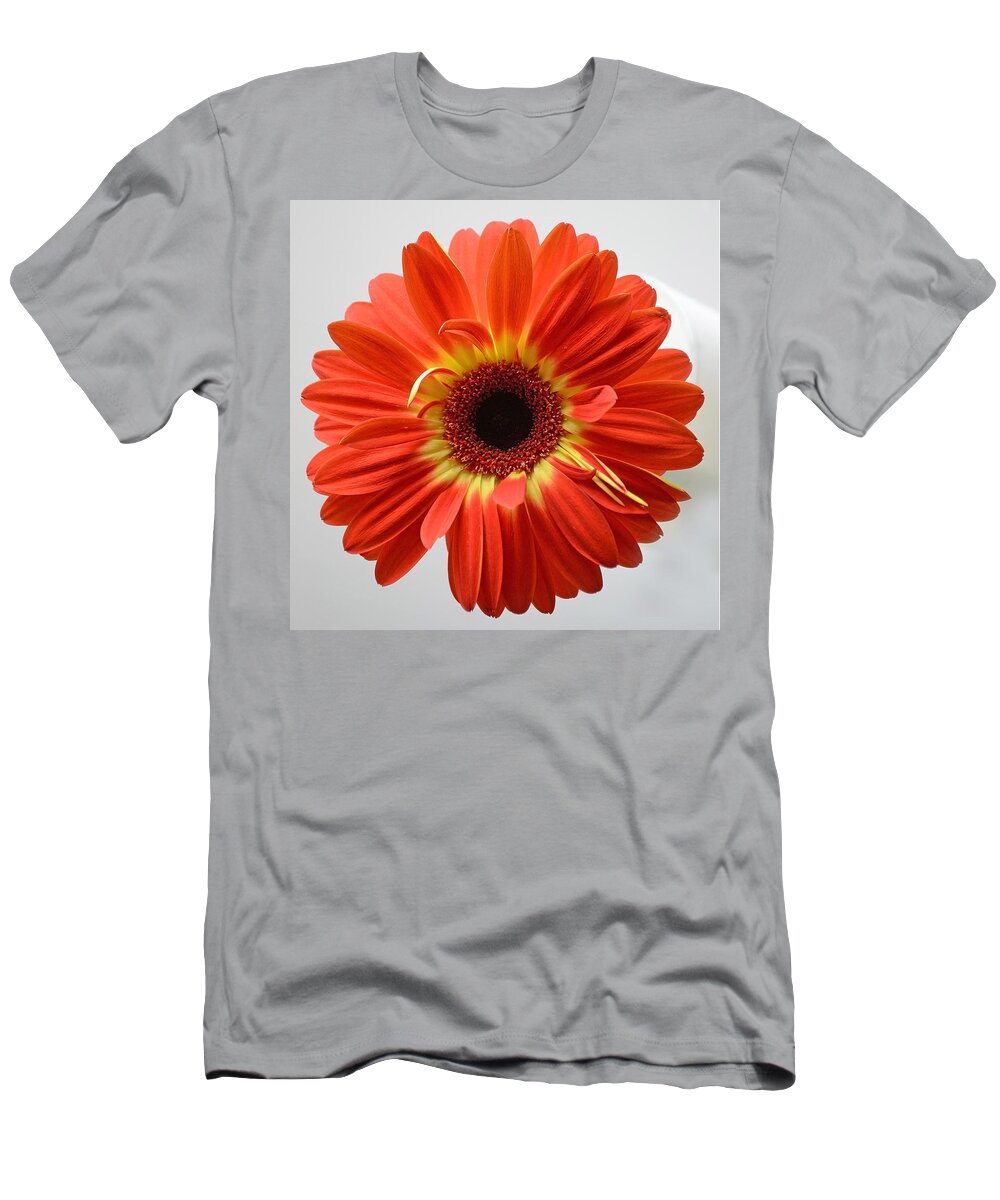 Flower T-Shirt featuring the photograph Sweet and Simple by Melanie Moraga