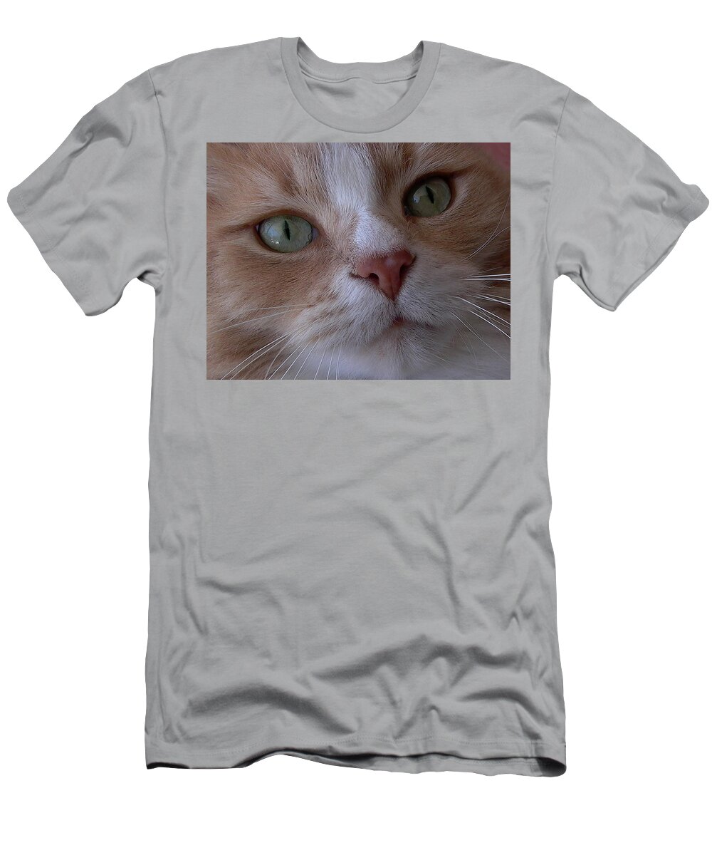 Cat Eyes T-Shirt featuring the photograph The Cat Eyes by Dragan Kudjerski