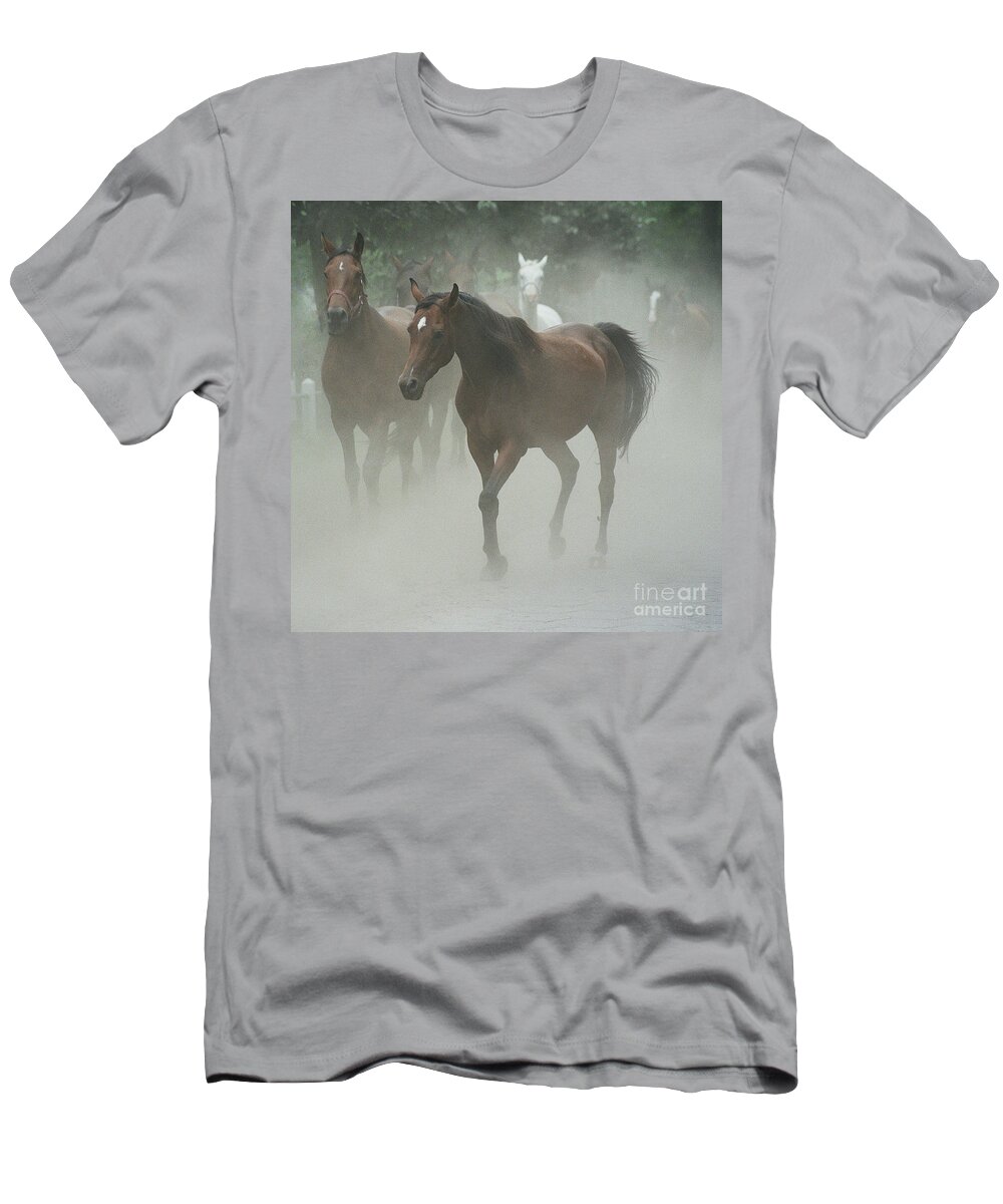 Arabian Horse T-Shirt featuring the photograph The daughters of a Desert by Ang El