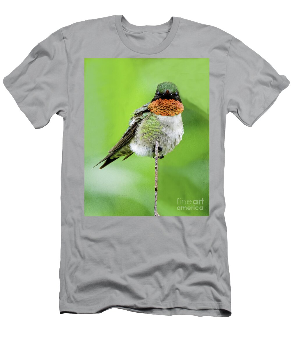 Hummingbird T-Shirt featuring the photograph The Flash by Jan Killian