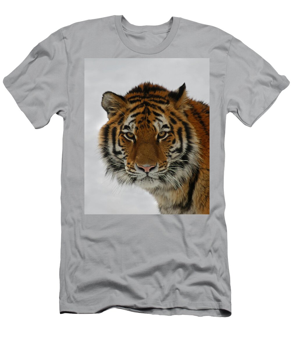 Tiger T-Shirt featuring the photograph The Look by Ernest Echols