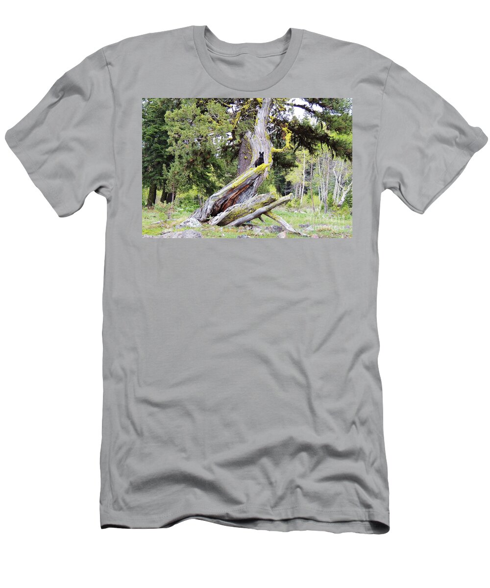 Scottish Terrier T-Shirt featuring the photograph The Lookout by Michele Penner