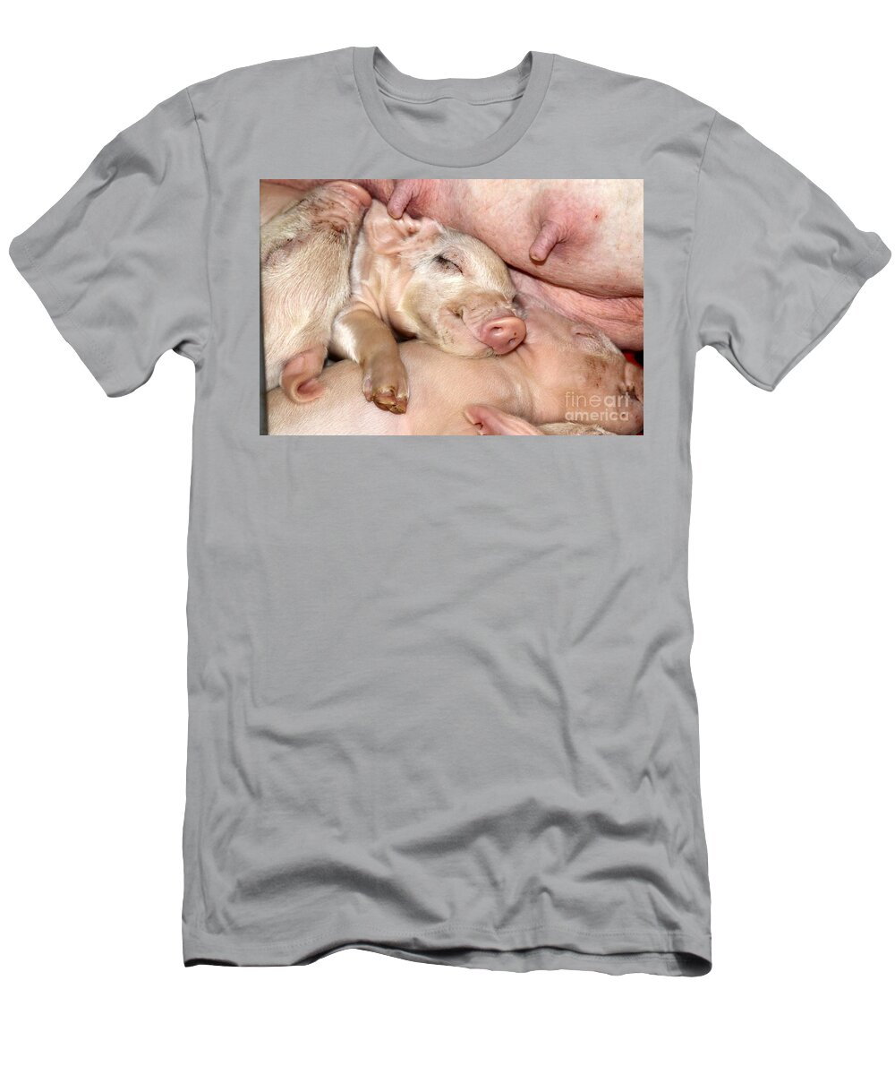 Pig T-Shirt featuring the photograph This Little Piggy by Rick Rauzi