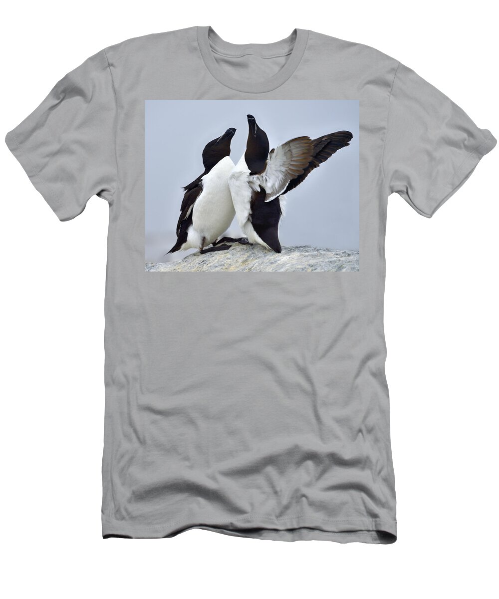 Razorbill T-Shirt featuring the photograph This Much by Tony Beck