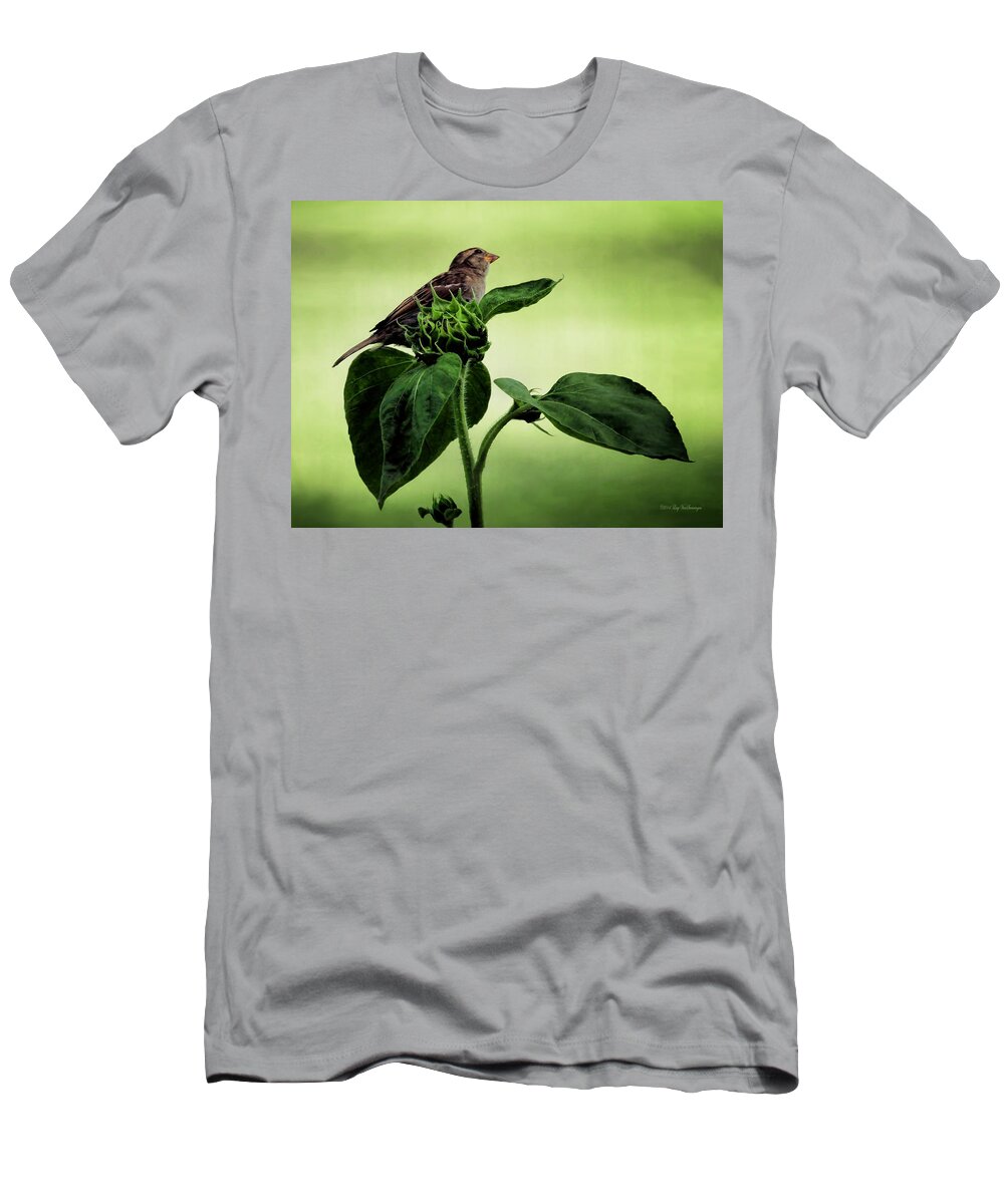 Bird T-Shirt featuring the photograph Thoughtful Sparrow by Lucy VanSwearingen