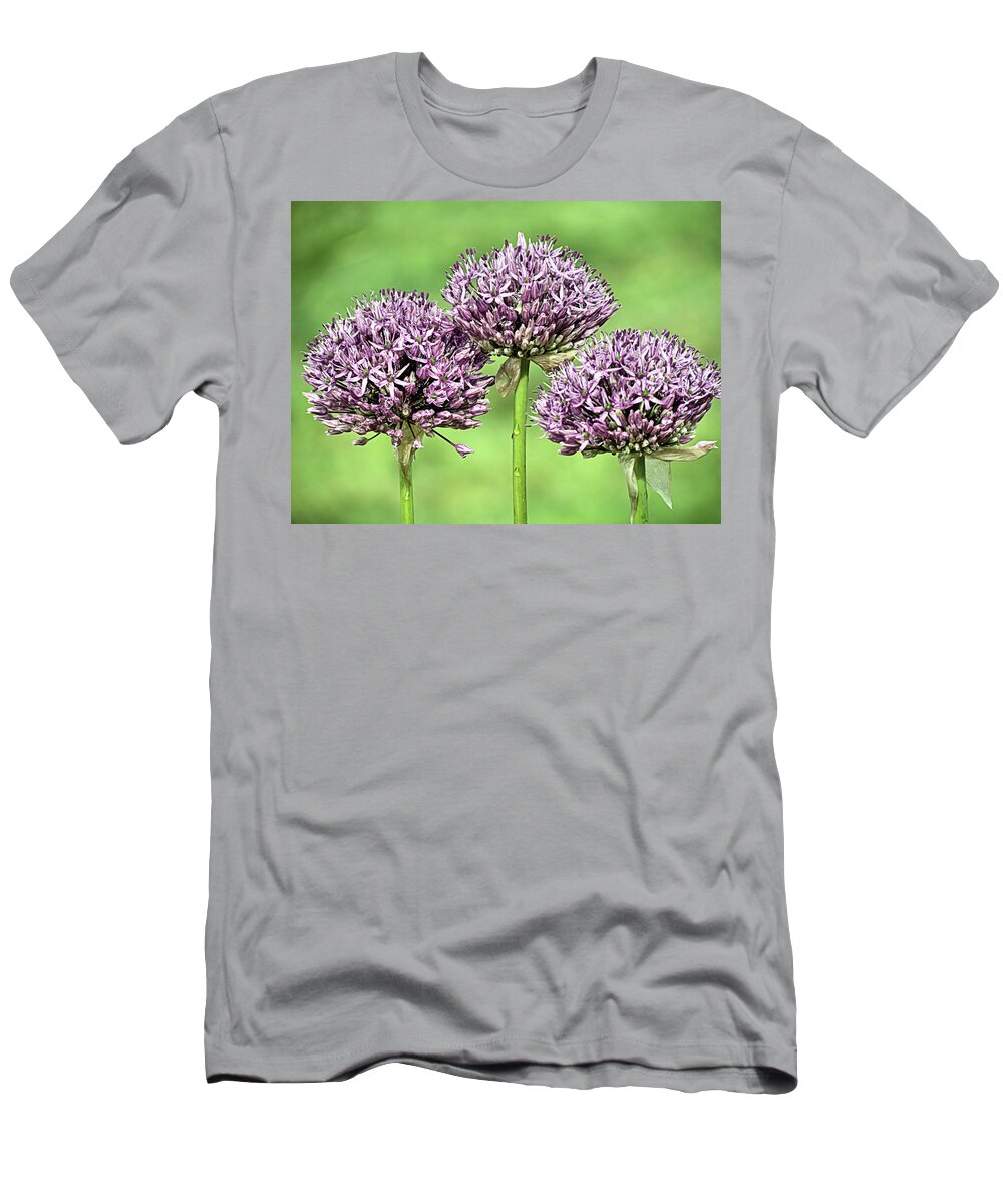 Purple Sensation Allium T-Shirt featuring the photograph Three Purple Sensation Alliums by Janice Drew