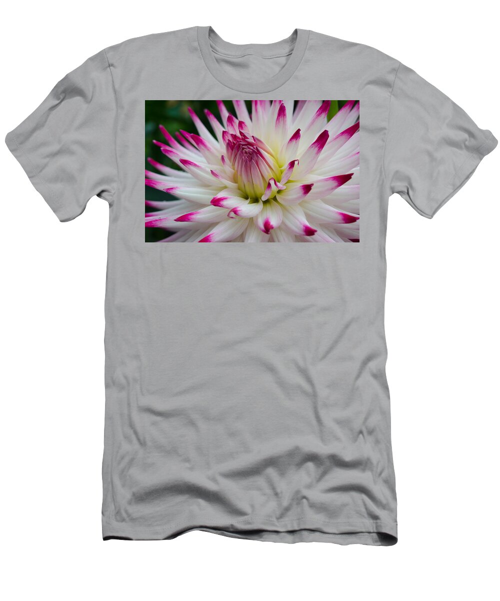 Dahlia T-Shirt featuring the photograph Tips by Kathy Paynter