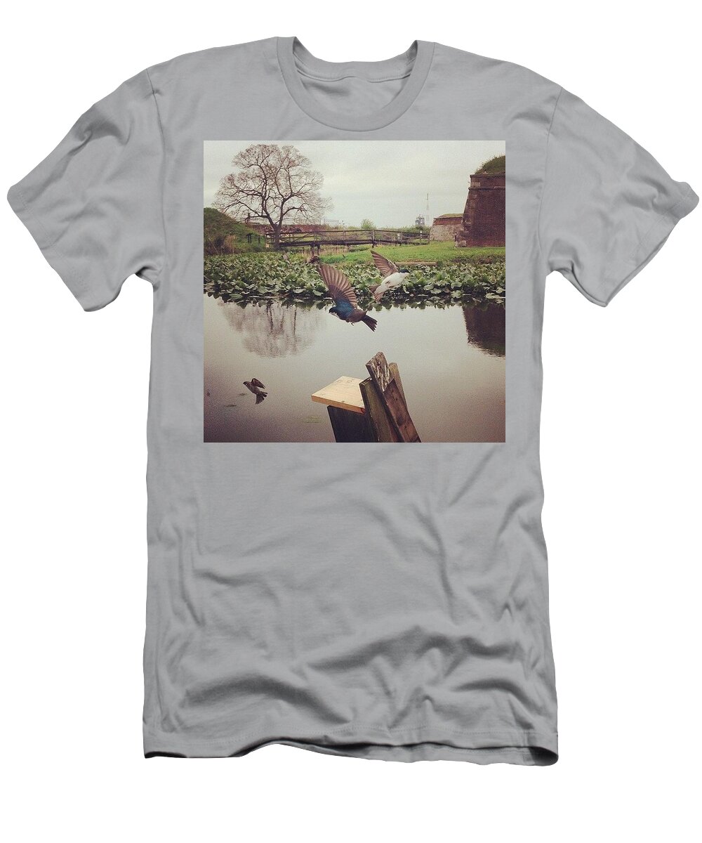 Exploring T-Shirt featuring the photograph Tree Swallows. They Might Be My by Katie Cupcakes