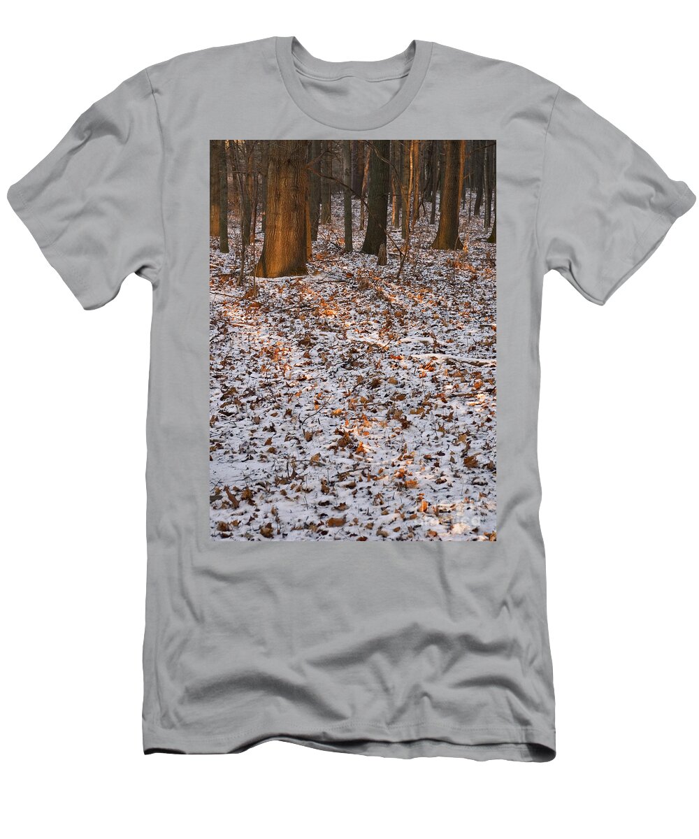 Arboretum T-Shirt featuring the photograph Trees by Steven Ralser