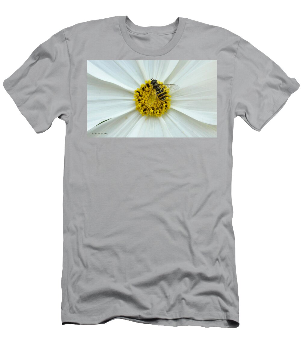 Bee T-Shirt featuring the photograph Up Close with the Bee and the Cosmo by Verana Stark