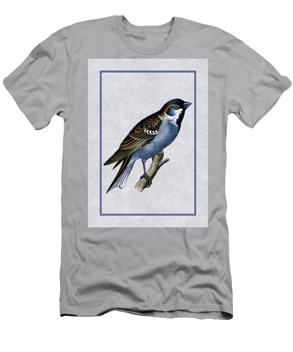 Antique Vintage Traditional Bird Birds Realistic Formal Animal Wild Flying Avian Feathers  T-Shirt featuring the painting Vintage English Sparrow Vertical by Elaine Plesser