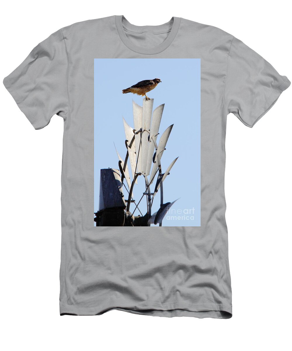 Animal T-Shirt featuring the photograph Waiting For The Wind by Robert Frederick