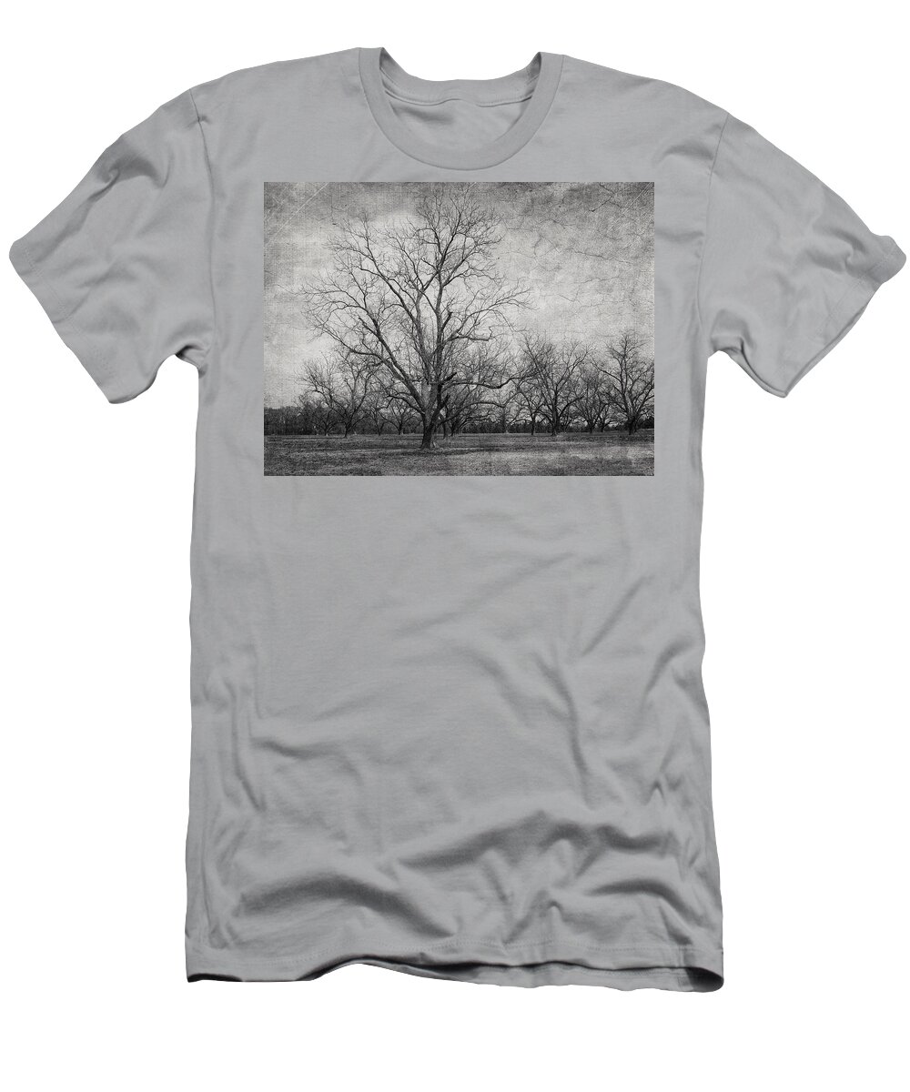 Tree T-Shirt featuring the photograph Waiting by Kim Hojnacki