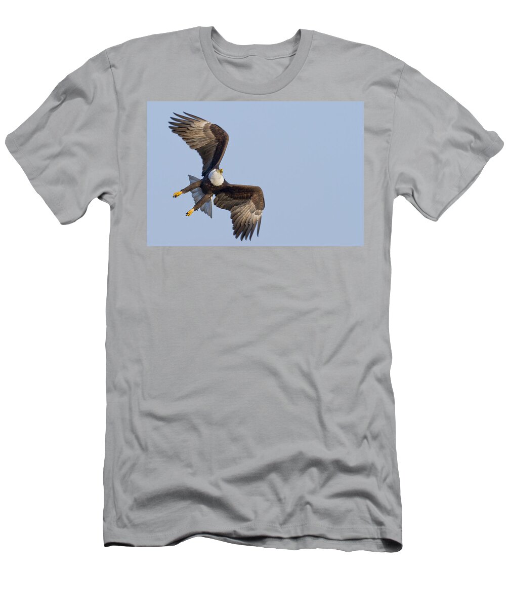 Alaska T-Shirt featuring the photograph Where Did He Go by Jack R Perry