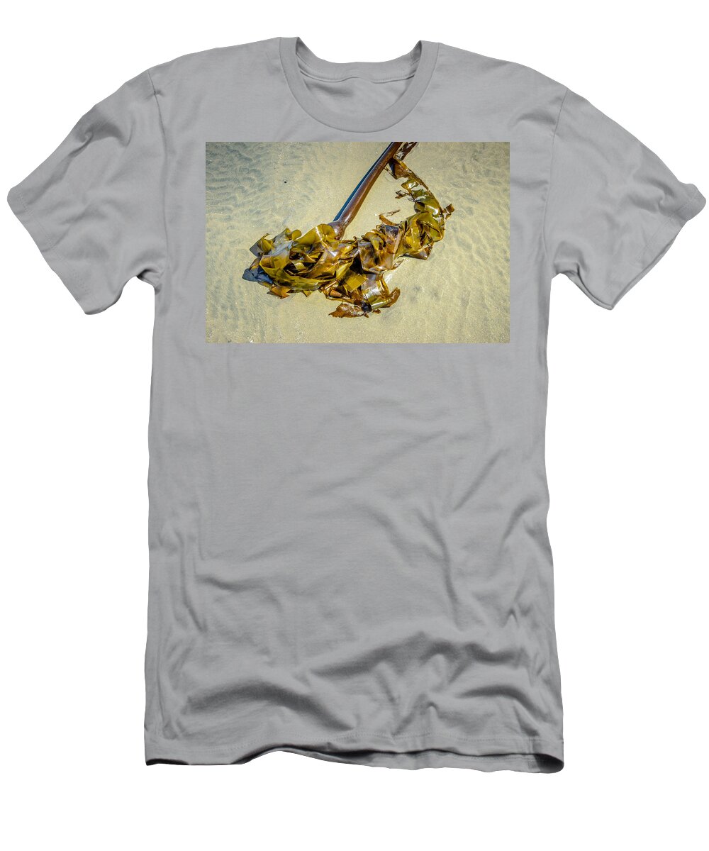 Bull Kelp T-Shirt featuring the photograph Whipped Up On Shore by Roxy Hurtubise