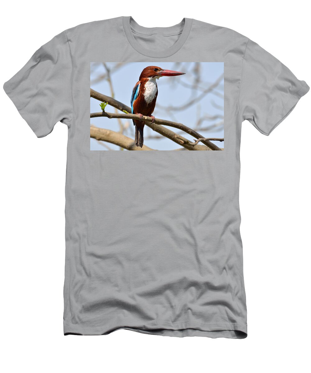 White T-Shirt featuring the photograph White Breasted Kingfisher by Fotosas Photography