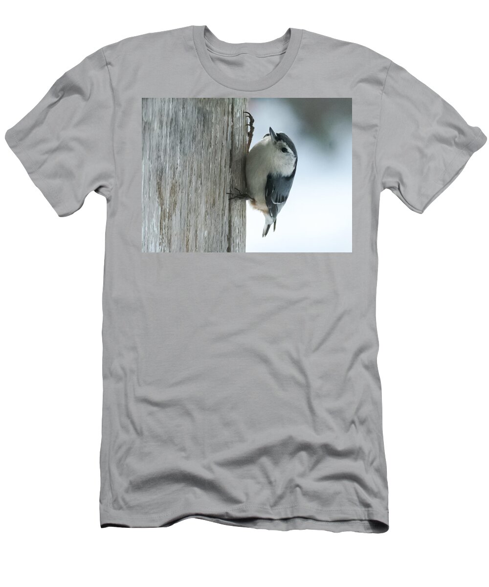 Bird T-Shirt featuring the photograph White-Breasted Nuthatch by Holden The Moment