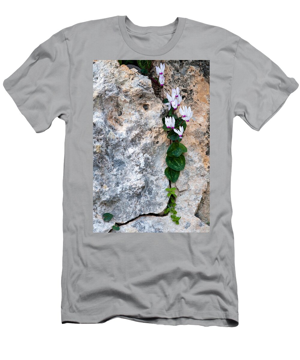 Cyclamen T-Shirt featuring the photograph White Cyclamen flowers by Michalakis Ppalis