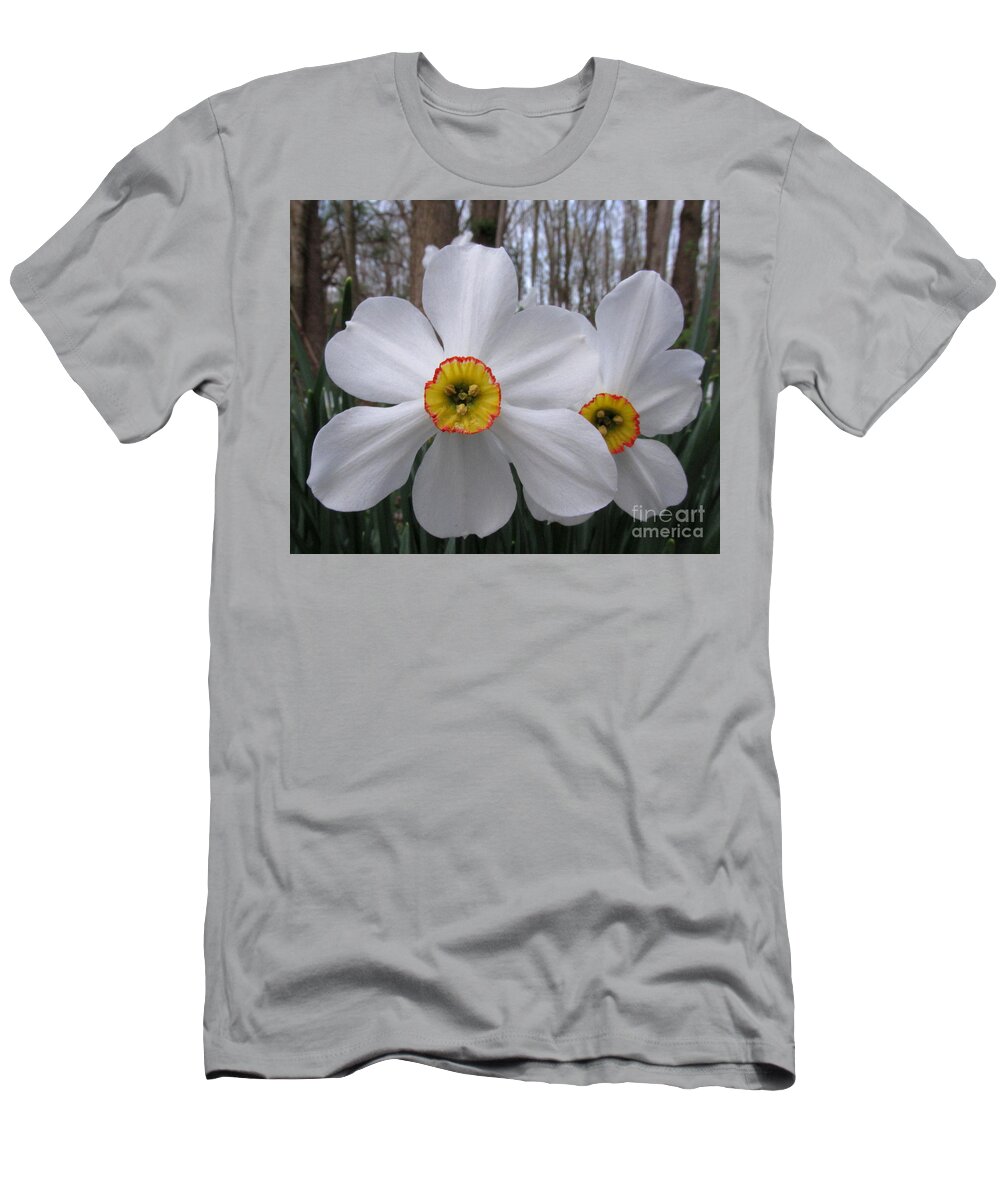 White Daffadills White Wildflowers Forest Flowers Forest Flora Woodland Flora Botanical Biodiversity Woodland Wildflowers Of North America Flowers And Trees Early Spring Flowers Early Bloomers White Blooms T-Shirt featuring the photograph White Daffadills by Joshua Bales