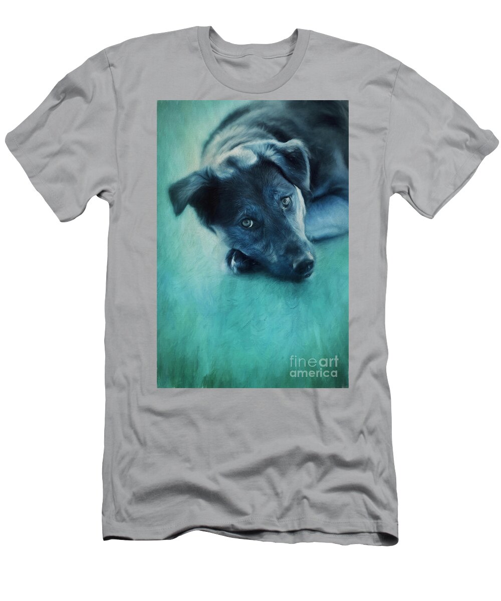 Dog T-Shirt featuring the photograph Winter Dog by Priska Wettstein