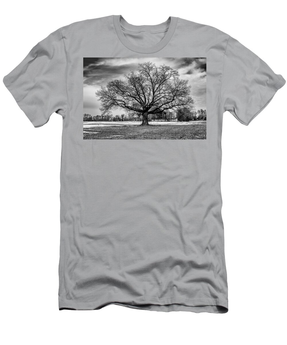 Mt Holly T-Shirt featuring the photograph Winter Solstice Tree by Louis Dallara