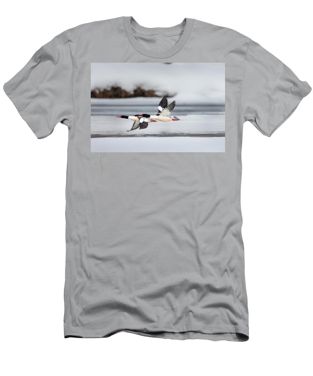 Duck T-Shirt featuring the photograph Yin Yang by Bill Wakeley
