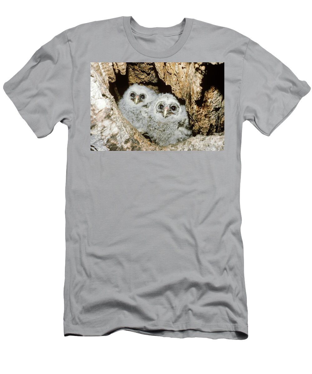 Animal T-Shirt featuring the photograph Young Barred Owls In Nest Snag by Jim Zipp