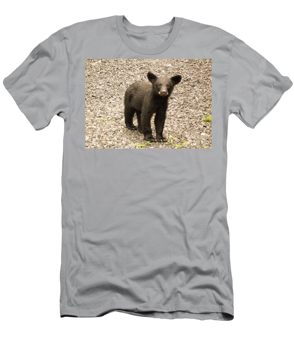 Young T-Shirt featuring the photograph Young Cub by Jan Dappen