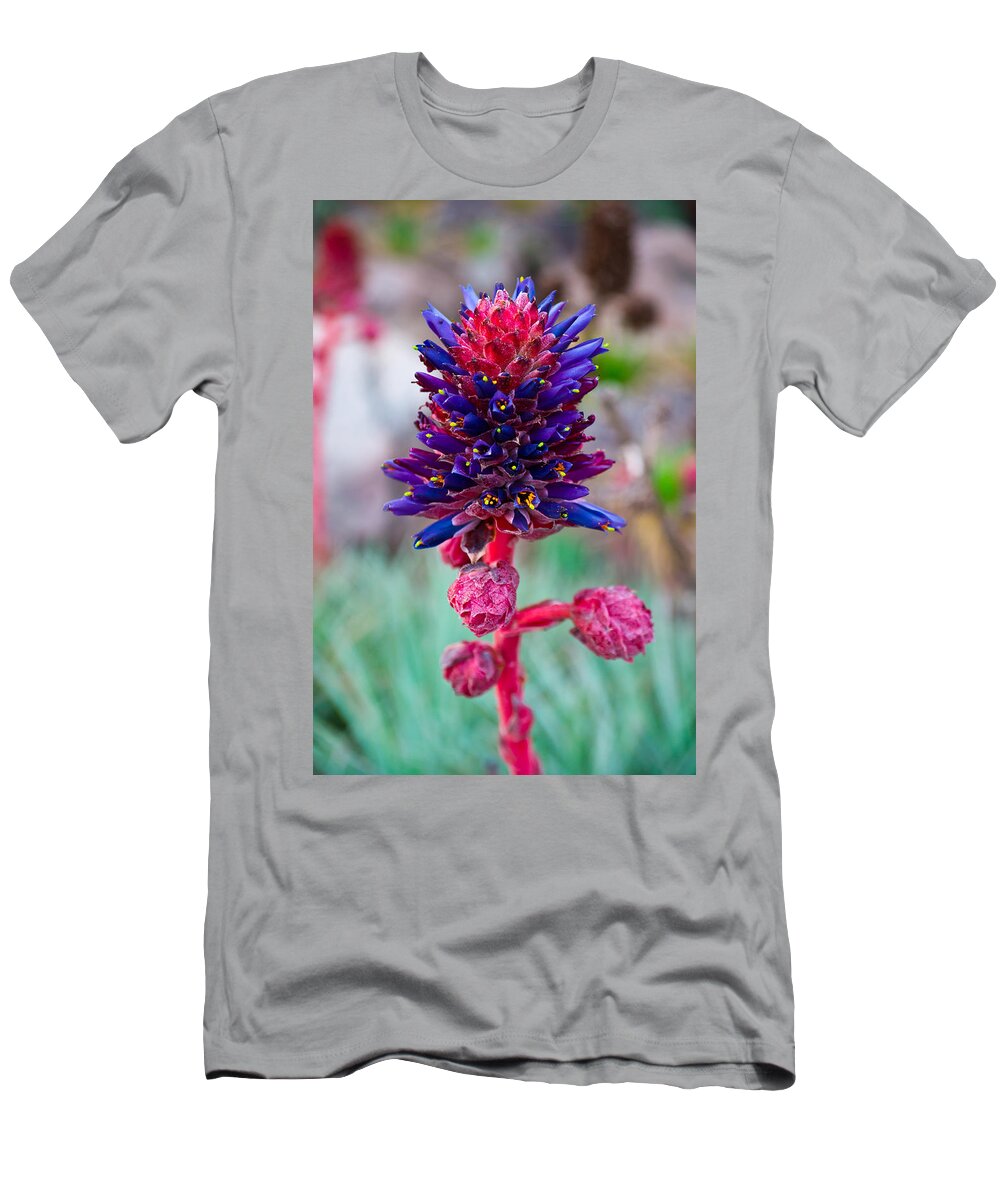 Flower T-Shirt featuring the photograph Zapallar Flower by Kent Nancollas