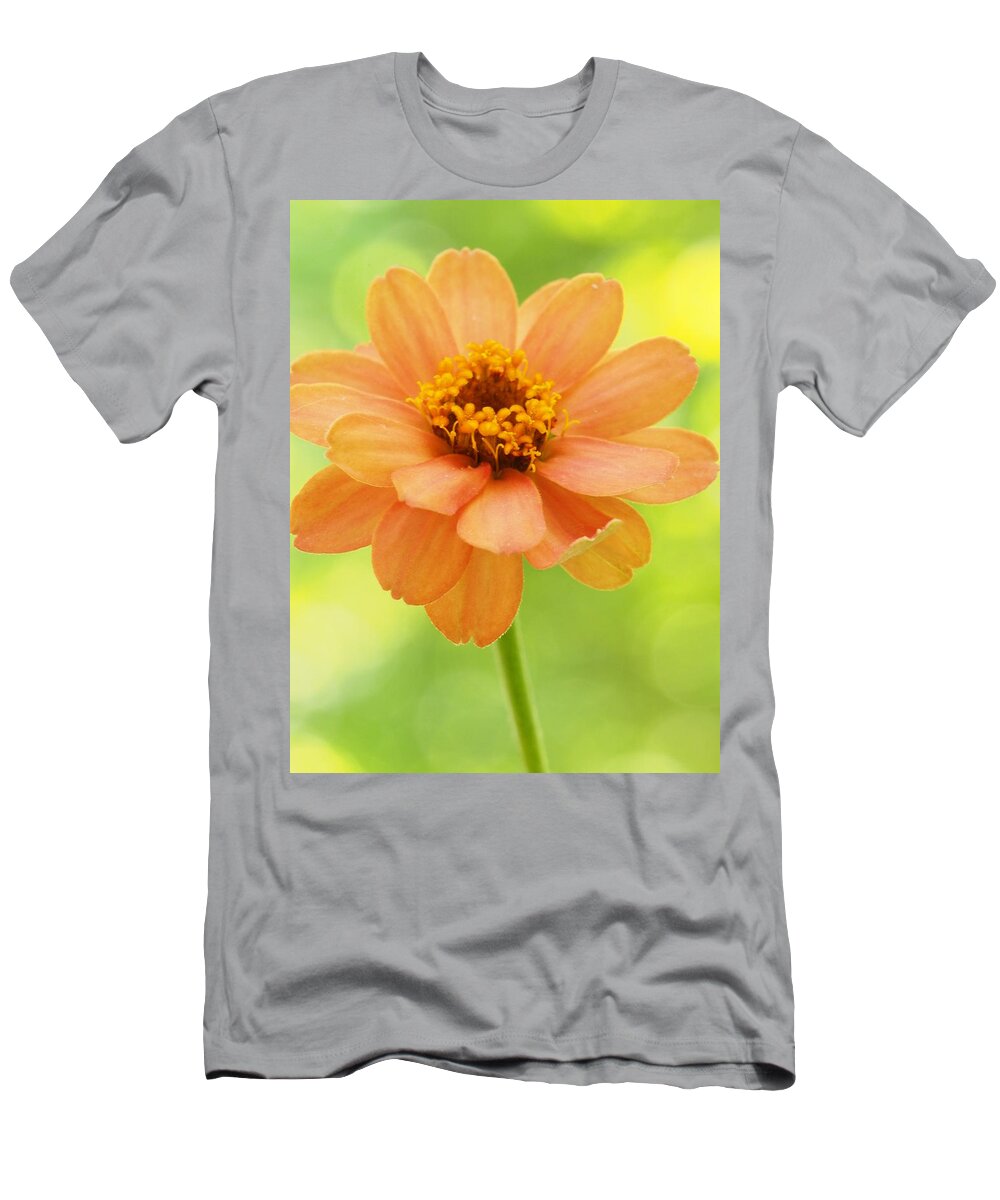 Flowers T-Shirt featuring the photograph Zinnia On A Brilliant Spring Day by Dorothy Lee