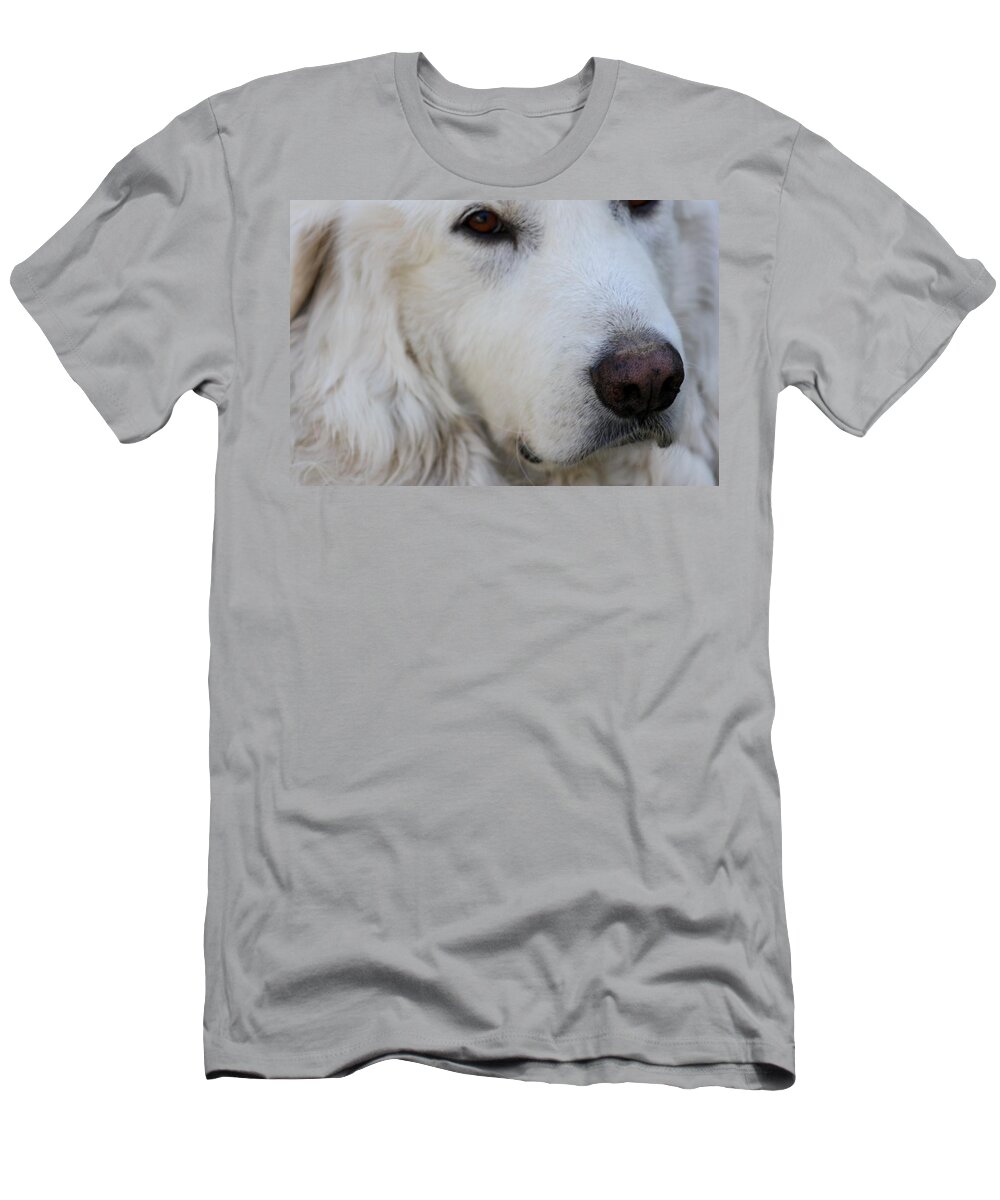 Dog T-Shirt featuring the photograph Great Pyrenees by Kim Galluzzo Wozniak