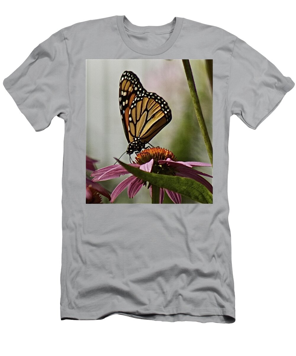 Monarch Butterfly T-Shirt featuring the photograph Monarch Butterfly by Suanne Forster
