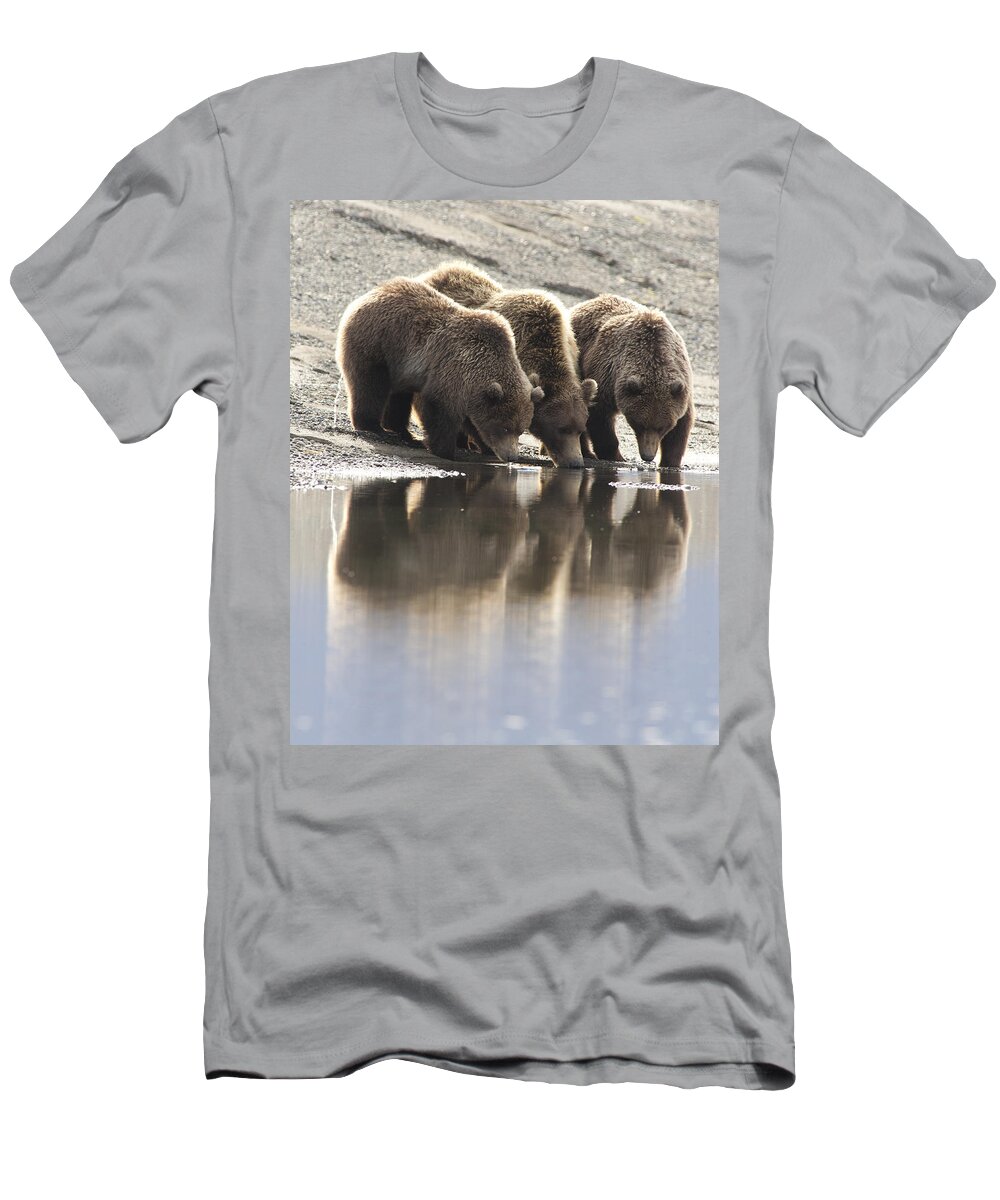 Mp T-Shirt featuring the photograph Grizzly Bear Ursus Arctos Horribilis #11 by Matthias Breiter