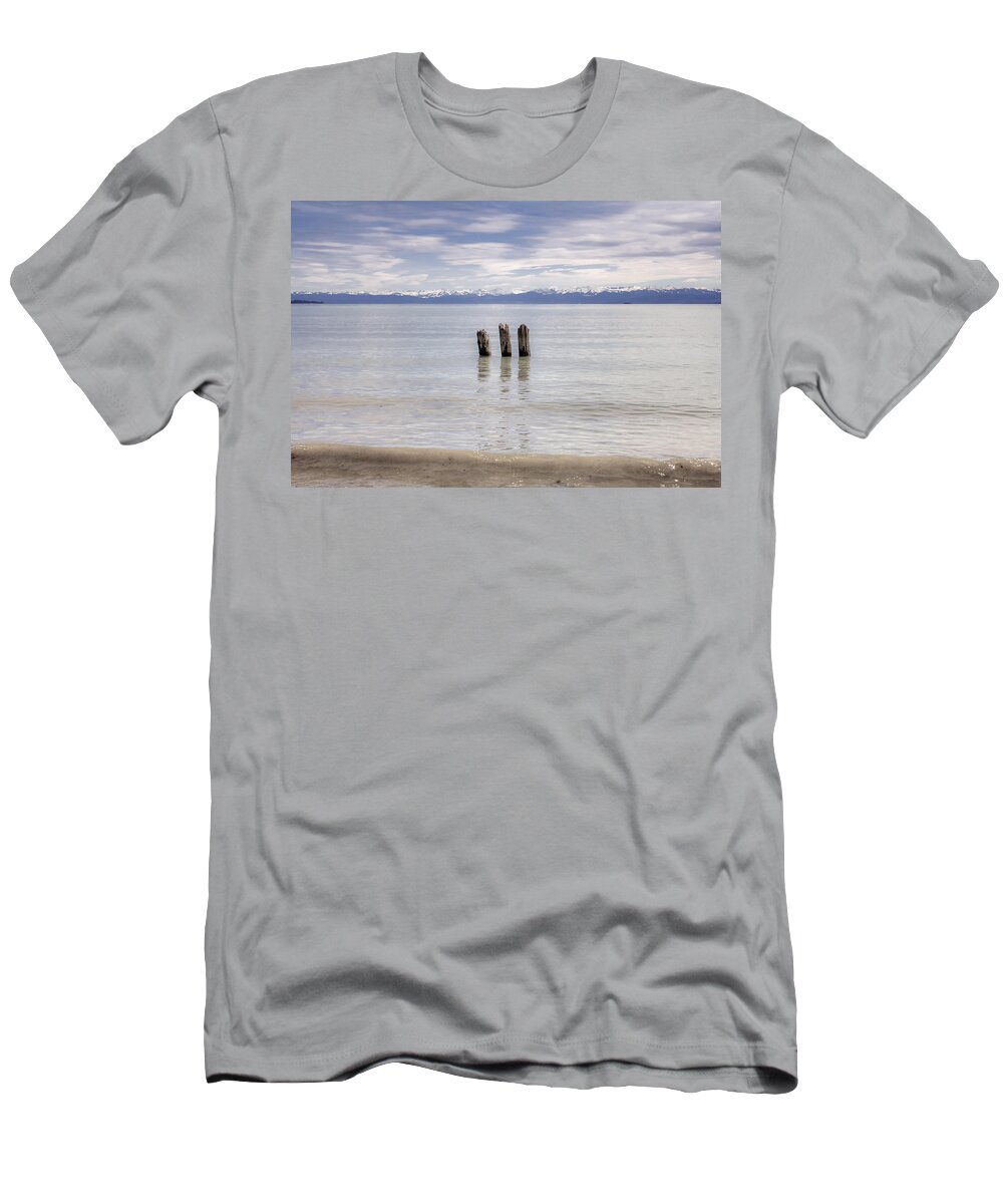 Wood Pile T-Shirt featuring the photograph Lake Constance #2 by Joana Kruse